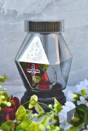 Znicz Solarny Lustrzany ZSol-369-S